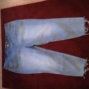 Ladies size 2X (20W/22W) Terra & Sky jeans